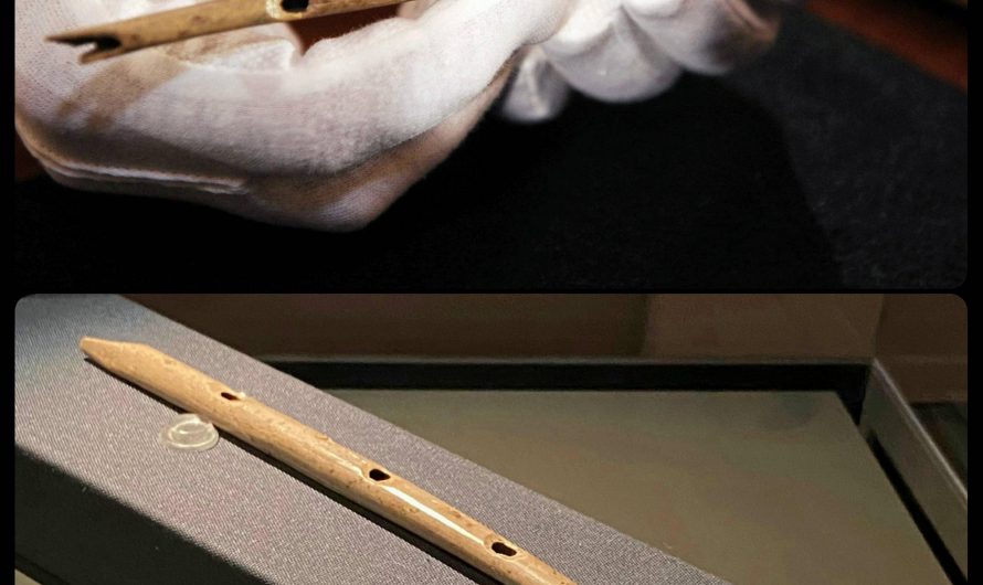 Prehistoric Flute from Germany, c.40,000 BCE: this is one of the oldest musical instruments ever discovered, and it was carved from the wing-bone of a griffon vulture