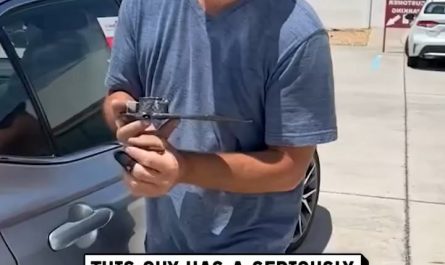 Professional Pinstriping Freehanded Line Art