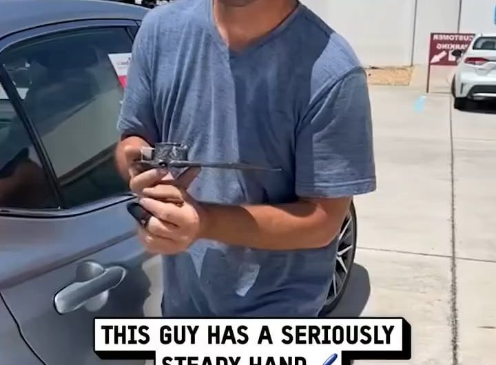 Professional Pinstriping Freehanded Line Art