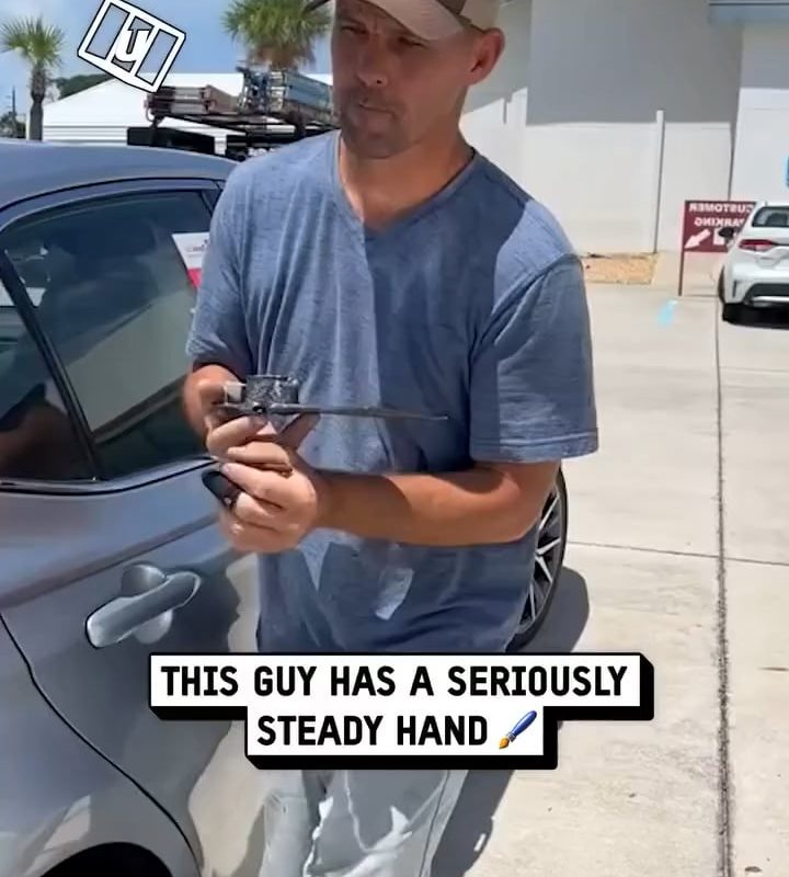 Professional Pinstriping Freehanded Line Art