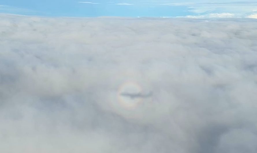 Rainbow halo around airplane shadow on cloud over Singapore