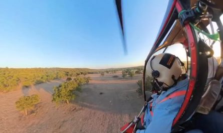 Ranches capturing critters for artificial insemination.