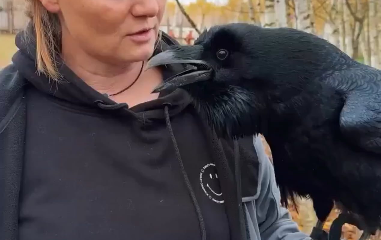 Raven mimicking Russian is terrifyingly interesting