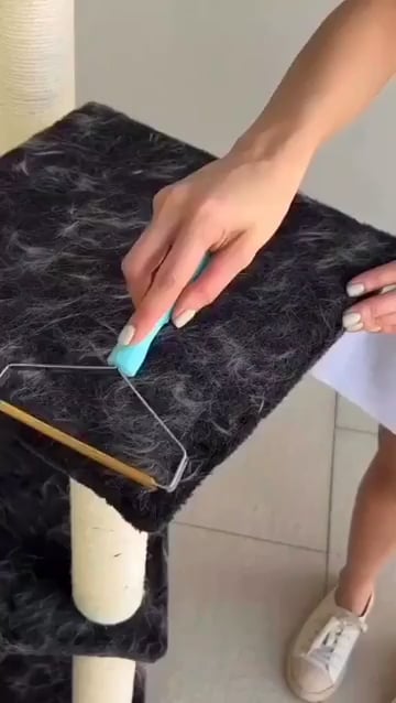 Removing cat hair