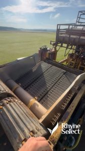 Rolling of green grass