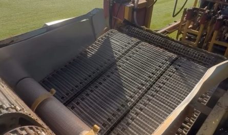 Rolling of green grass