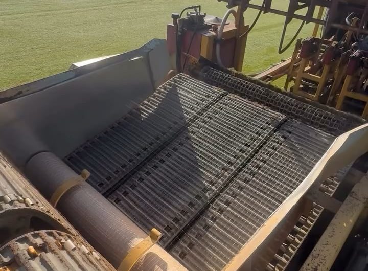 Rolling of green grass