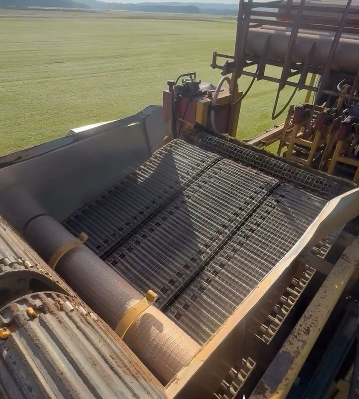 Rolling of green grass