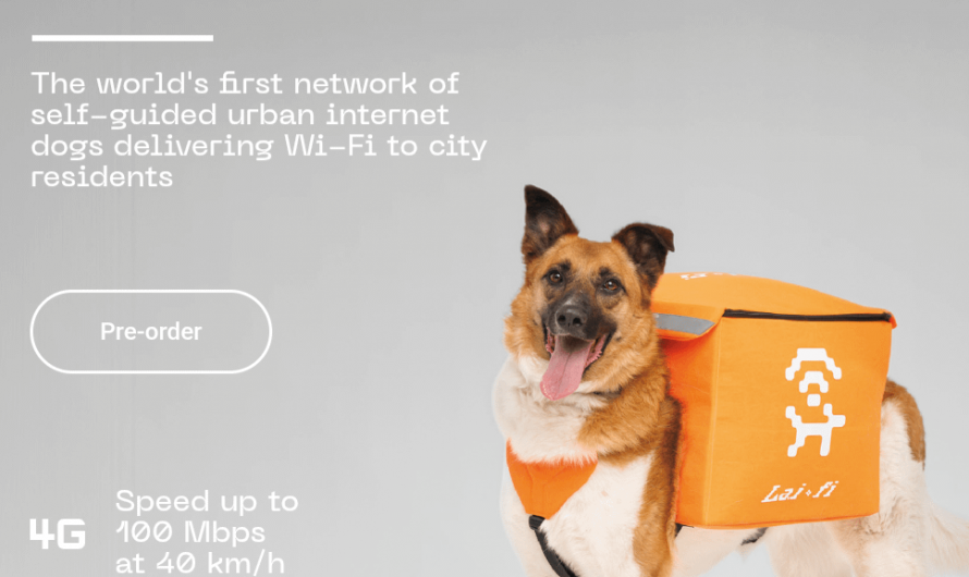 Russian tech company plans to build a city-wide Wi-Fi network delivered by roaming urban dogs
