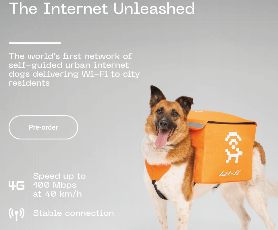 Russian tech company plans to build a city-wide Wi-Fi network delivered by roaming urban dogs