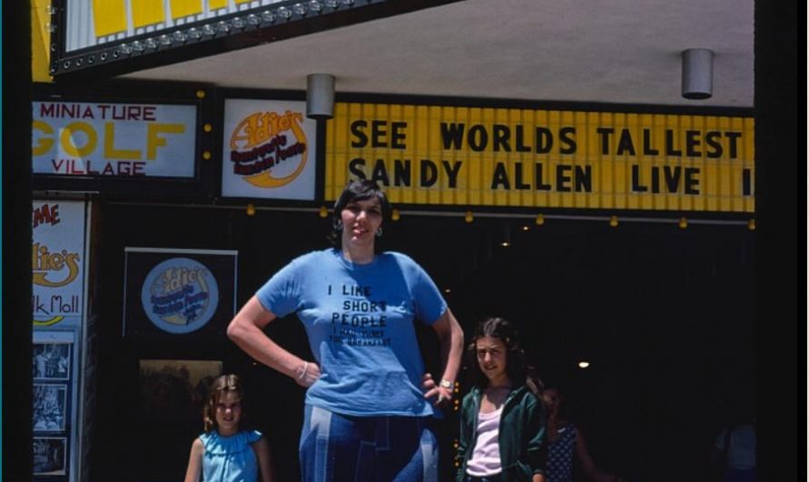 Sandy Allen (1955-2008) with some fans, at 7ft 7in was the tallest woman for 16 years, Boardwalk, Wildwood, New Jersey, 1977. Kodachrome slide.