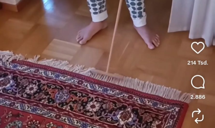 Satisfying brushing of carpet fringes