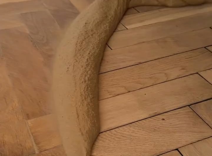 Saving old parquet flooring instead of replacing it – the right putty makes all the difference.