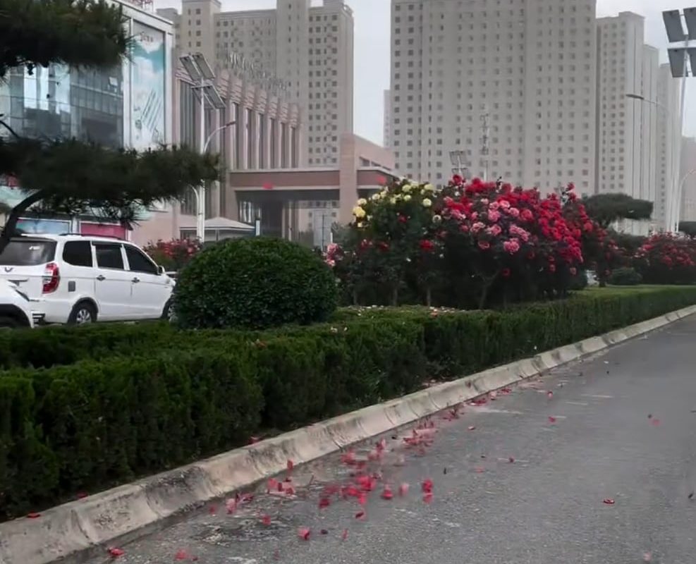 Scattering petals during strong winds