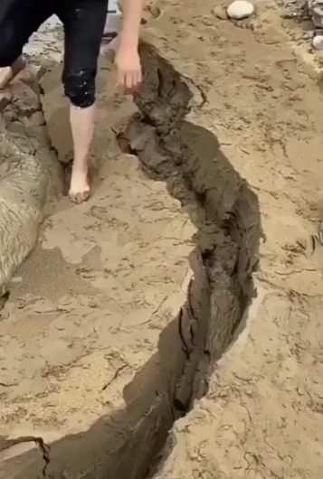 Sea mud formed a jelly like structure.