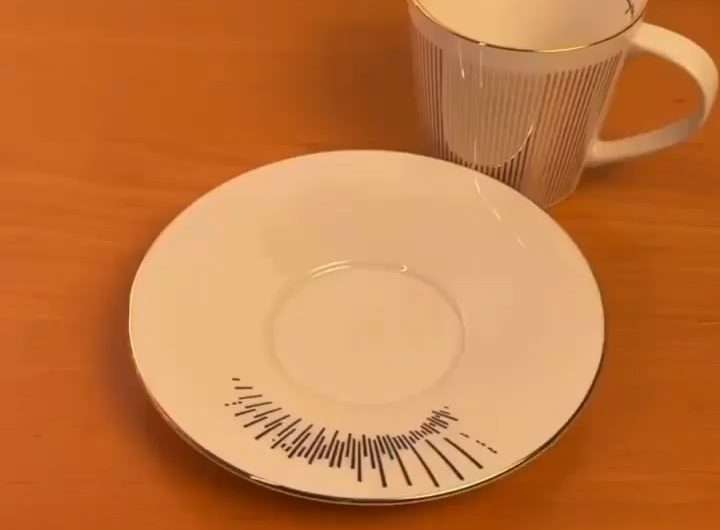 See the bird fliying