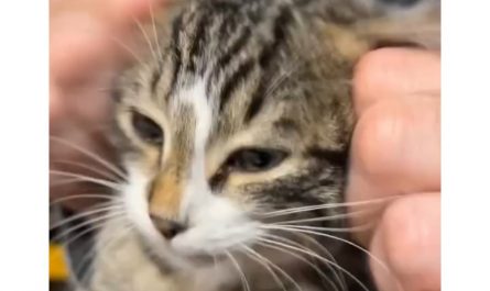 She seems so comfortable!!!