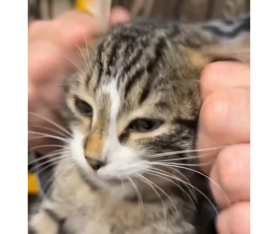 She seems so comfortable!!!