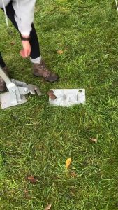 She use this stake remover so easy