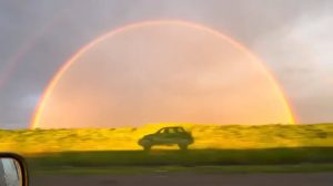 Shot of a lifetime from a moving car