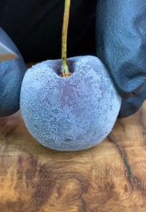 Slicing a frozen cherry
