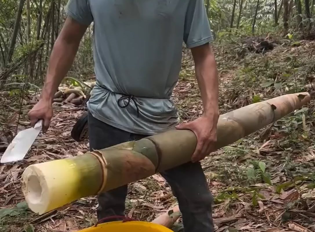 Smooth bamboo cutting