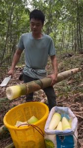 Smooth bamboo cutting