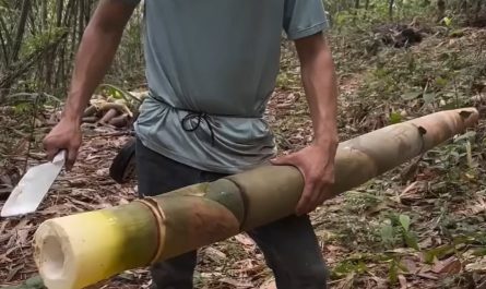 Smooth bamboo cutting