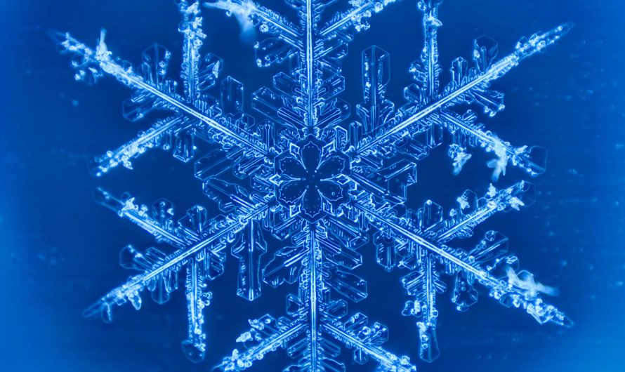 Snowflake up close