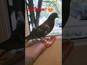 So He Claims the Throne!