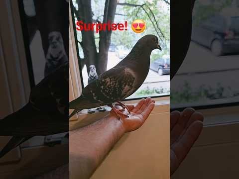 So He Claims the Throne!