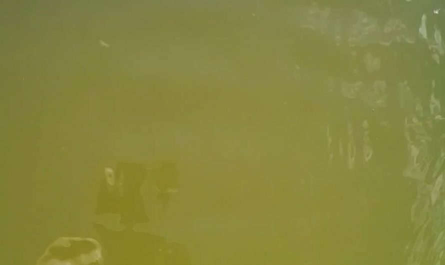 Square waves in a barrel