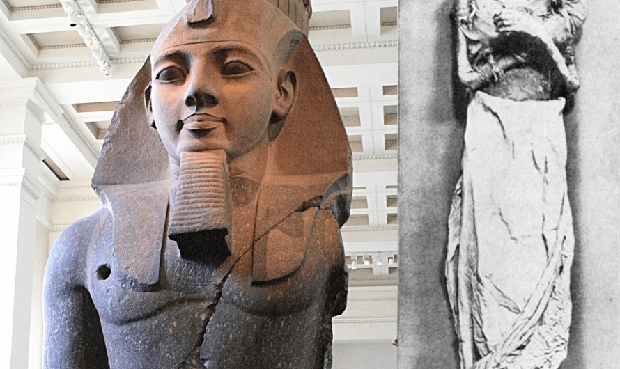 Statue (Left) and Real body (Right) of Ramesses II, One of the Greatest Pharaoh in entire Ancient Egyptian History who lived over 3,200 years ago during the 13th Century BCE