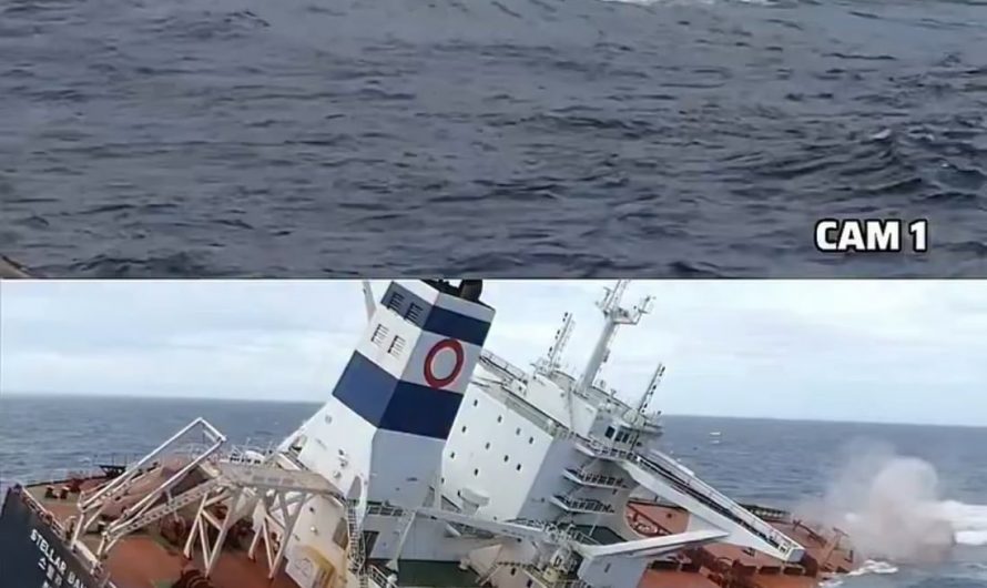 Stellar banner a 300+ long cargo ship had to be Scuttled. Making her the largest vessel to ever be intentionally sunk.