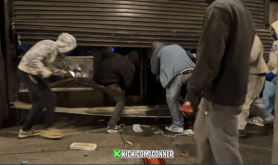 Streamer gets attacked by “protestors” who were looting a jewelry store in LA