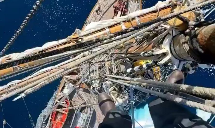 Summer in Antarctica