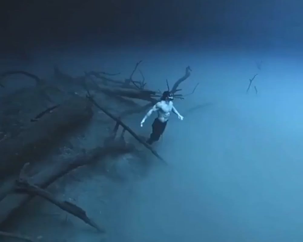 Swimming through a Halocline in the waters depths 🌊