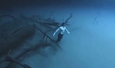 Swimming through a Halocline in the waters depths 🌊