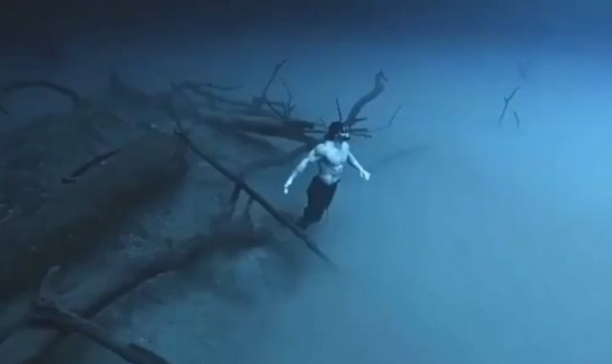 Swimming through a Halocline in the waters depths 🌊