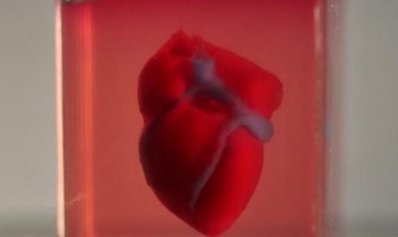 TAU scientists print first ever 3D heart using patient’s own cells