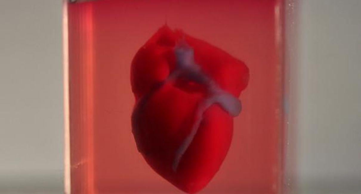 TAU scientists print first ever 3D heart using patient’s own cells