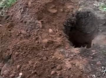 That looks really awesome