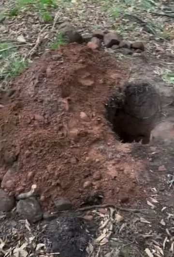 That looks really awesome