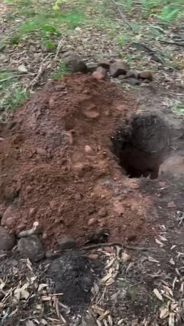 That looks really awesome