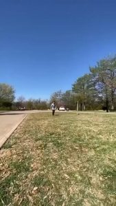 That's a perfect flip!