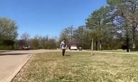 That's a perfect flip!