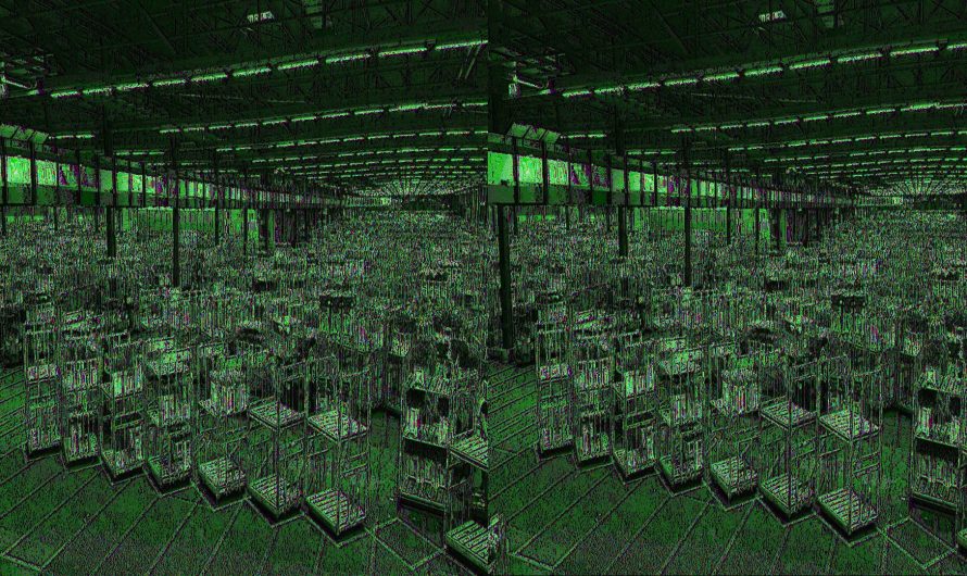 The Aalsmeer Flower Auction in The Netherlands – where 40% of the international flower trade flows through