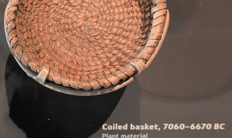 The Cowboy Cave Basket, the oldest example of coiled basketry in the Americas, approximately 10,000 years old. From Wayne County, Utah