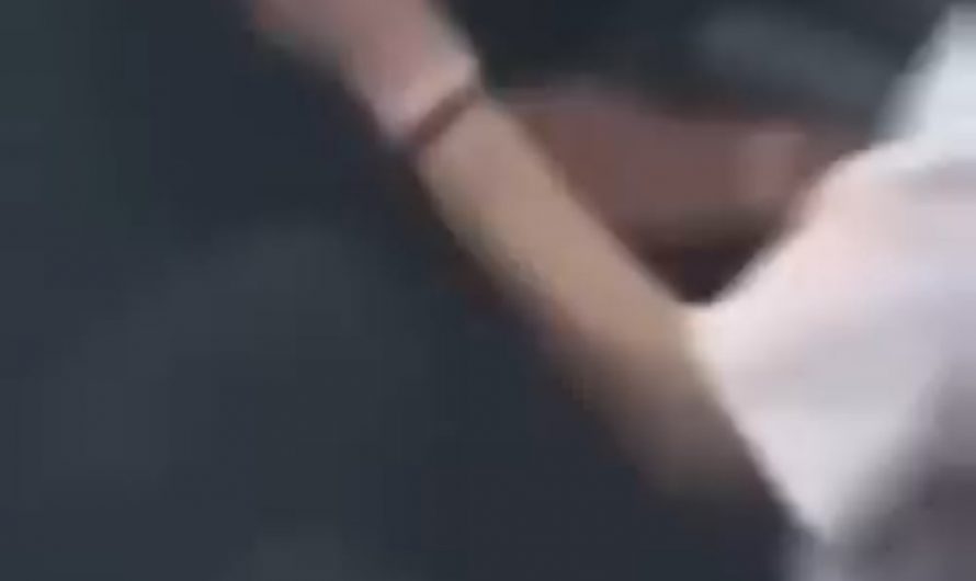 The Crowd Wasn’t READY! 🧠🍩