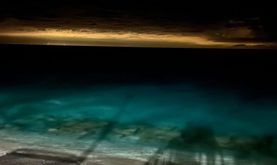 The Miami city lights seen from Bimini in Bahamas.